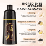 BlackElixir Shampoo Tinte Botánico 3 en 1